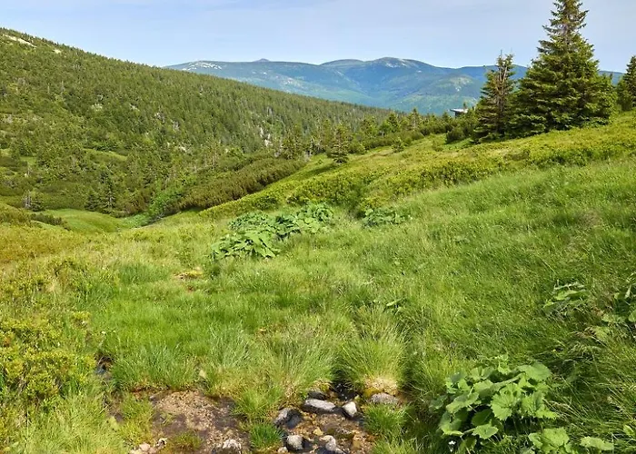 Horni Misecky-2 By Interhome